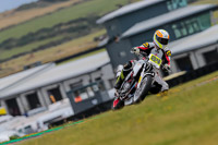 PJ-Motorsport-2019;anglesey-no-limits-trackday;anglesey-photographs;anglesey-trackday-photographs;enduro-digital-images;event-digital-images;eventdigitalimages;no-limits-trackdays;peter-wileman-photography;racing-digital-images;trac-mon;trackday-digital-images;trackday-photos;ty-croes